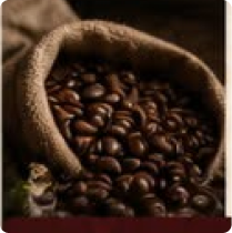 Biji kopi